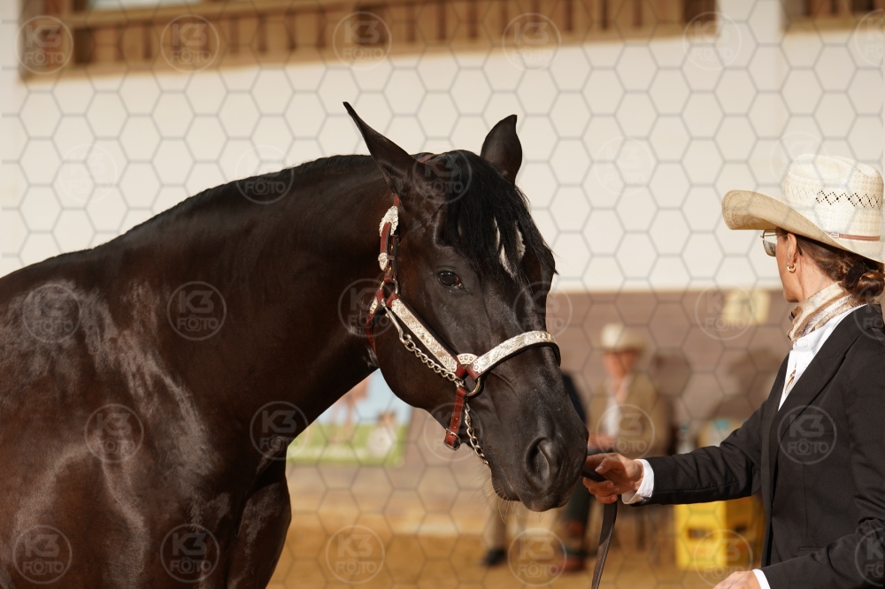 s_A9_08065.jpg